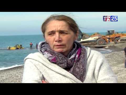 დენდროლოგიურ პარკში გადასატანი მორიგი ხის გადატანა ვერ ხერხდება