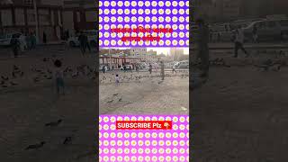 shortvideo viralvideo সোনার মদিনা আমার প্রানের মদিনা madina m