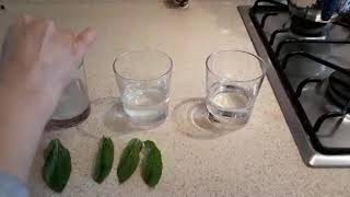 Makbule Taner - Plazmoliz