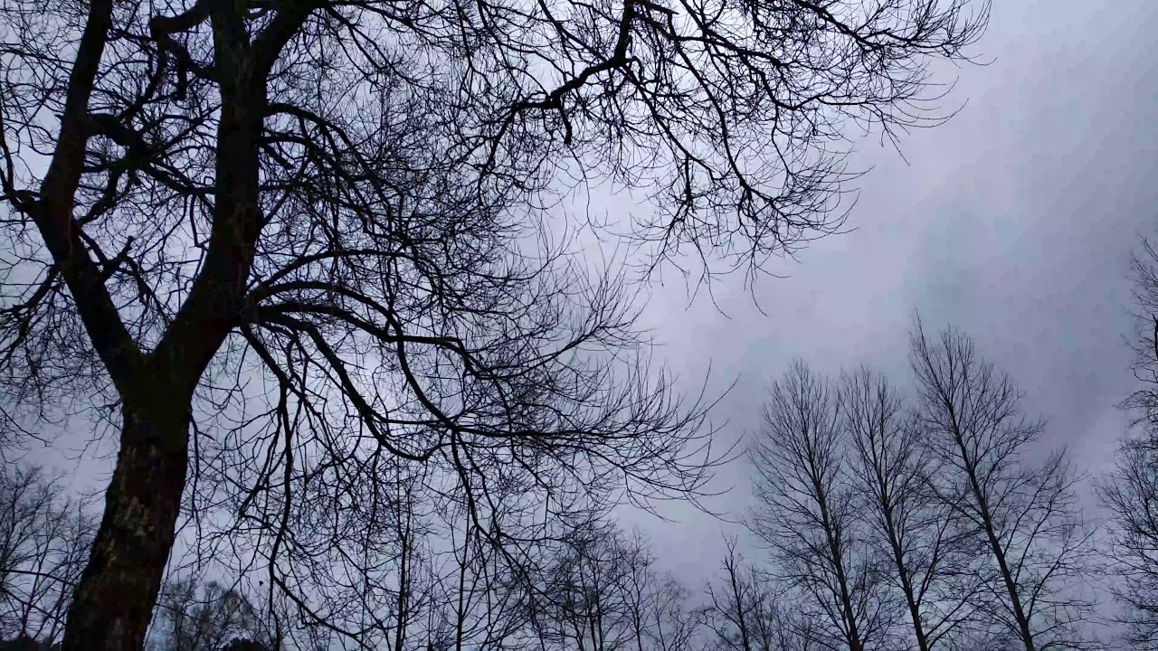 Xiaomi Redmi 5 Plus 1080p video test