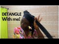 How to: Detangle LONG,DRY,THICK HAIR | type 4a,4b,4c Natural Hair