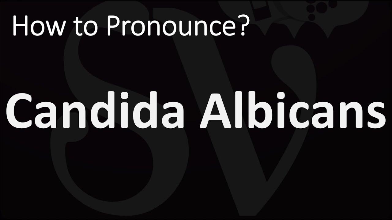 How to Pronounce Candida Albicans? (CORRECTLY) YouTube