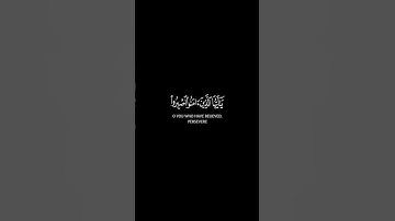 #ياسر_الدوسري #ماهر_المعيقلي #محمد_اللحيدان #سورة_البقرة #تلاوة_خاشعة #القرآن_الكريم 🎧🎙️