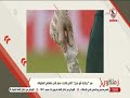 سر "زجاجة أبوجبل" التي قادت مصر إلى نهائي البطولة - زملكاوي