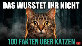 100 Crazy Facts About Cats That Will Blow Your Mind! 🐱 | The Ultimate Cat Documentary