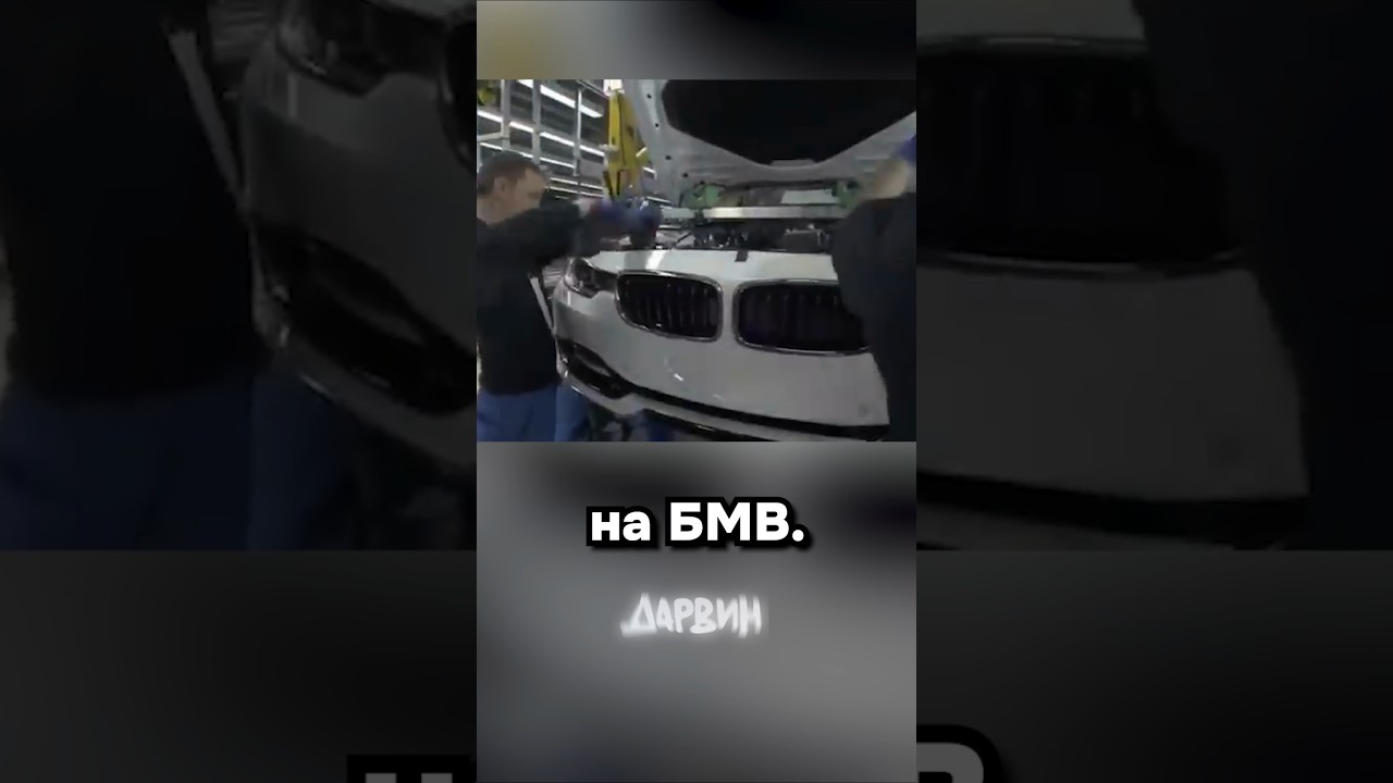 Благодарность от БМВ