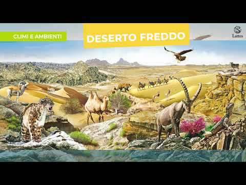 Video: Differenza Tra Tundra E Deserto