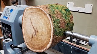 Woodturning - Youve Got to Love a Laburnum Log  (no mid roll ads)