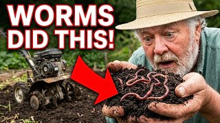 No Till Gardening: Worms Fixed My Soil Better Than Tilling Ever Did