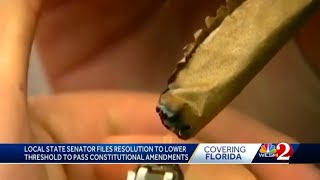 Florida lawmaker proposes lowering threshold to pass constitutional amendments