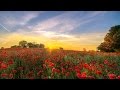 Just The Way You Are - Piano Orchestral 60 Minutes Version (With Relaxing Nature Sounds)