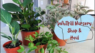 Plant Shop With Me At Whitfill Nursery Plant Haul