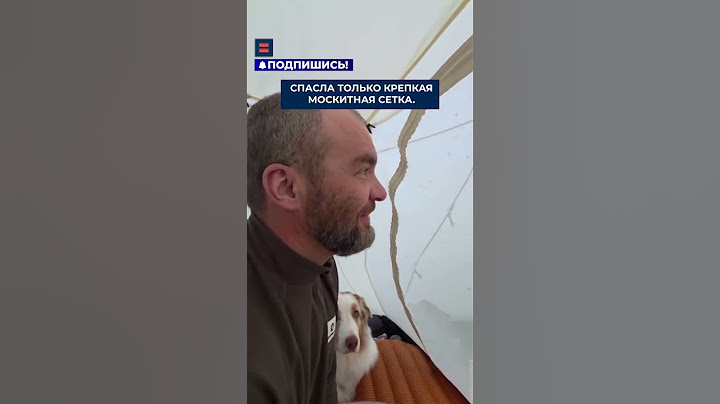 Туристы показали, сколько комаров может уместиться в одной палатке
