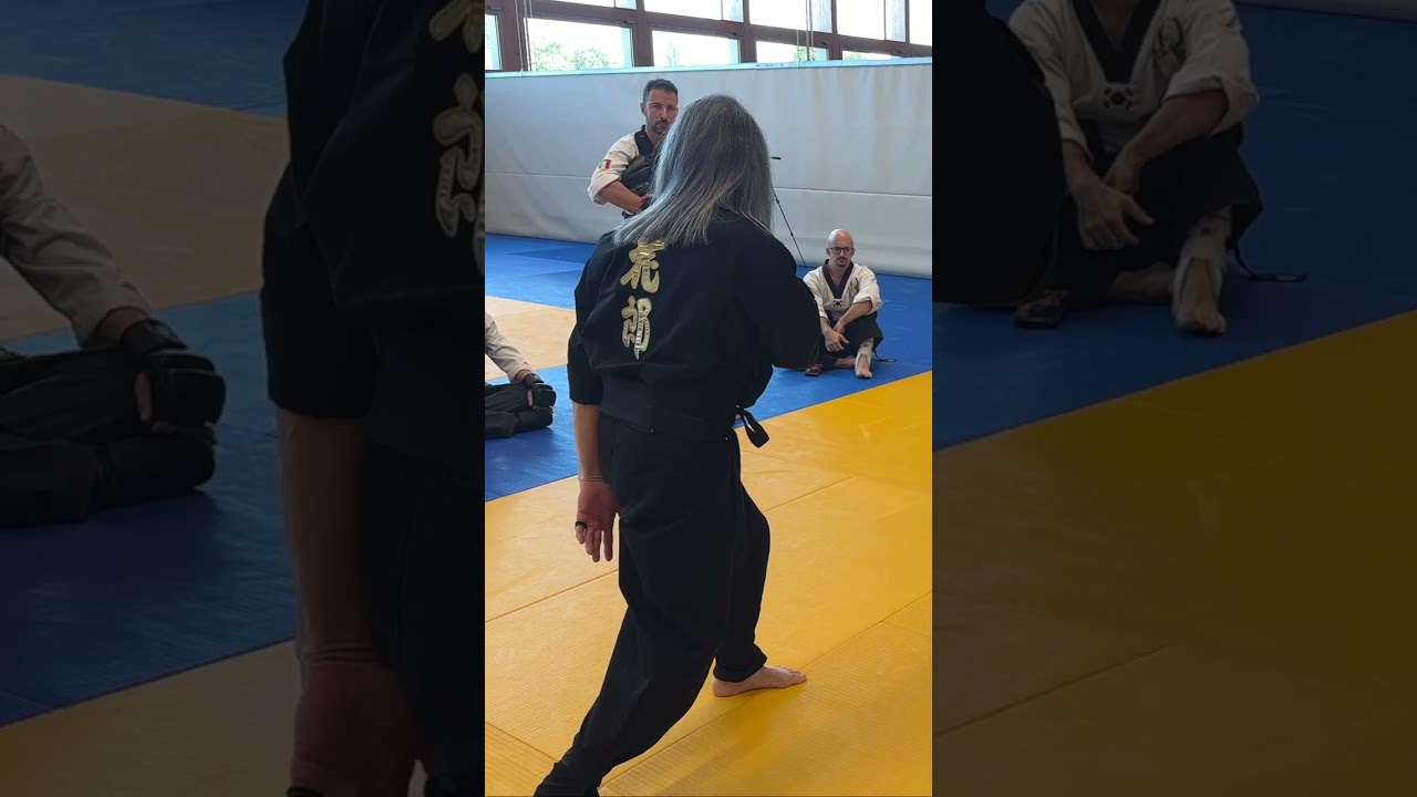 Tae Soo Do Point Fighting Backfist Series #4 - Stance by Hwa Rang Do® Grandmaster Taejoon Lee