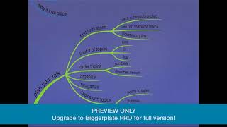Powerful Presenting with Mind Maps (PREVIEW)