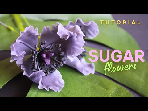 Sugar flowers for cake decoration made from flexible gumpaste