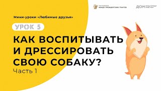 Цикл «Любимые друзья». Урок №5. Как воспитывать и дрессировать свою собаку? (Часть 1)