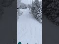 Nh skiing