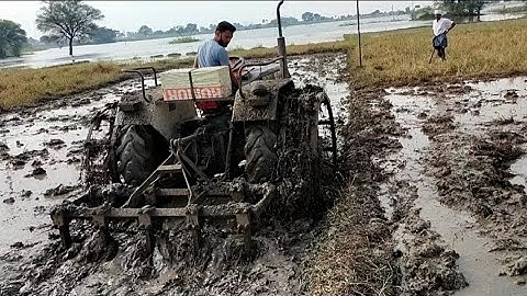 Swaraj Tractor 843XM 2nd day Cultivating Part -2 Video in My Village || SRIKANTH PS