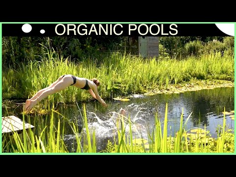 30 Reasons to Make Your Pool - the pleasure of the plunge