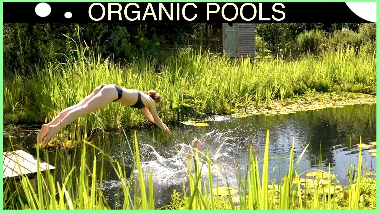 30 Reasons to Make Your Pool - the pleasure of the plunge