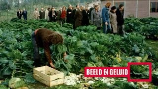 Duurzaamheid en gezonde voeding bij 'De Kleine Aarde' (1974)