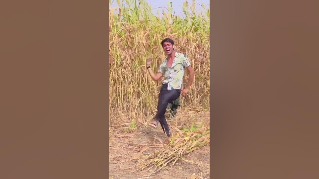 Katro bajaro jungle me padri dhoop | Kaif singer mewati | jaid meel dance #mewati #dance #trends