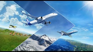 Microsoft Flight Simulator 2020 #969