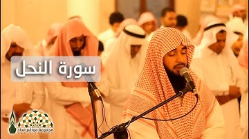 تلاوة من سورة النحل للآيات 73\79 بصوت القارئ محمد بن خليفة الثاقب