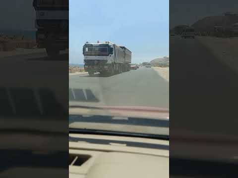 دايما في ضهري