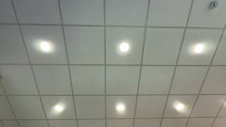 IMG 0293