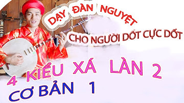 DẠY ĐÀN NGUYỆT bài sai cơ bản 1 cô đôi thượng  CHO NGƯỜI DỐT CỰC DỐT