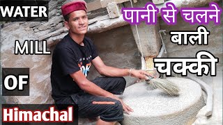 Watermill Of Himachal | Flour Mill Without Fule & Electricity || Himachal Documatry | आटा चक्की