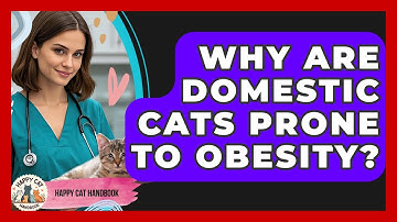 Why Are Domestic Cats Prone To Obesity? - Happy Cat Handbook