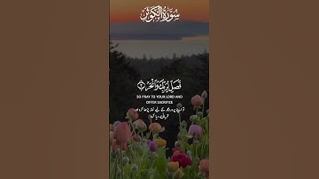 ان أعطيناك الكوثر 💗💗ماهر المعيقلي تلاوة خاشعة حالات واتس اب قرآن كريم