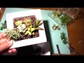 百均セリアの壁掛けプランタで多肉植物の寄せ植えSucculent plants video