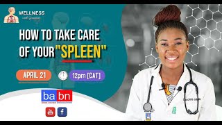 Wellness || How to take care of your Spleen