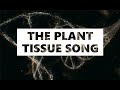 THE PLANT TISSUE SONG Parody Of Every Night In My Dreams SciLibretto mp3