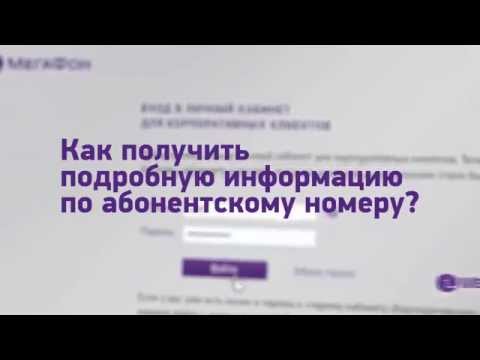 Как получить подробную информацию об абонентском номере?