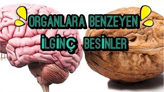 BENZEYEN ORGANA İYİ GELEN GIDALAR ...