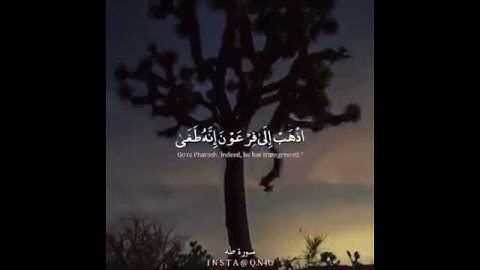 تلاوة قصيرة من سورة طه رائعة