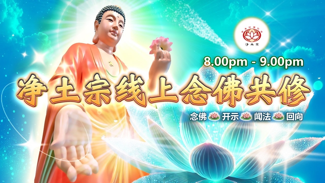 【同步】净土宗线上念佛共修暨法师开示【第2175天】+ 开示视频《事实真相》02-03-2026 Online Session（晚上8pm-9pm (GMT+8))【打开CC字幕】