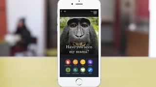 piZap's Quick Photo Editing Tutorial:How to make memes screenshot 4