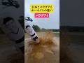野球パラグアイ4部リーグと日本のホームインの違い @nanbei #shorts #サッカー