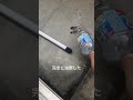 セミファイナル