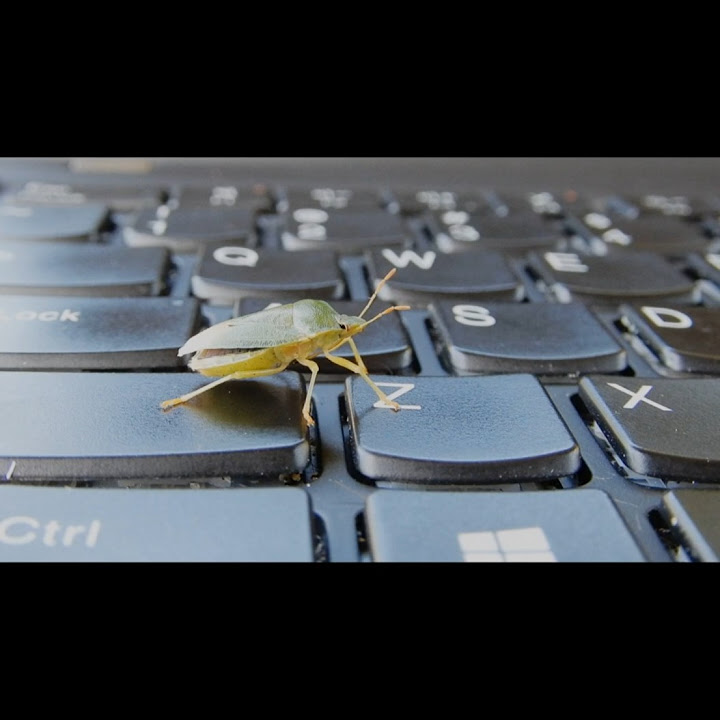 The Story of the First Computer Bug 🪲 - YouTube