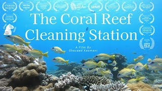 The Coral Reef Cleaning Station