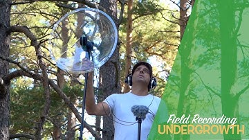 FIELD RECORDING NATURE