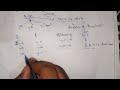 Co-dominance | deviation from Mendel's law | NEET, Foundation |
