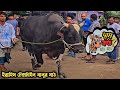 25 May 🐂 Vai Koto Nilo 2026 | gorur hat | Narayanganj Cattle Market